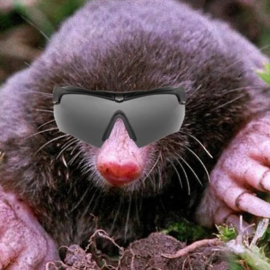 Пожилой крот