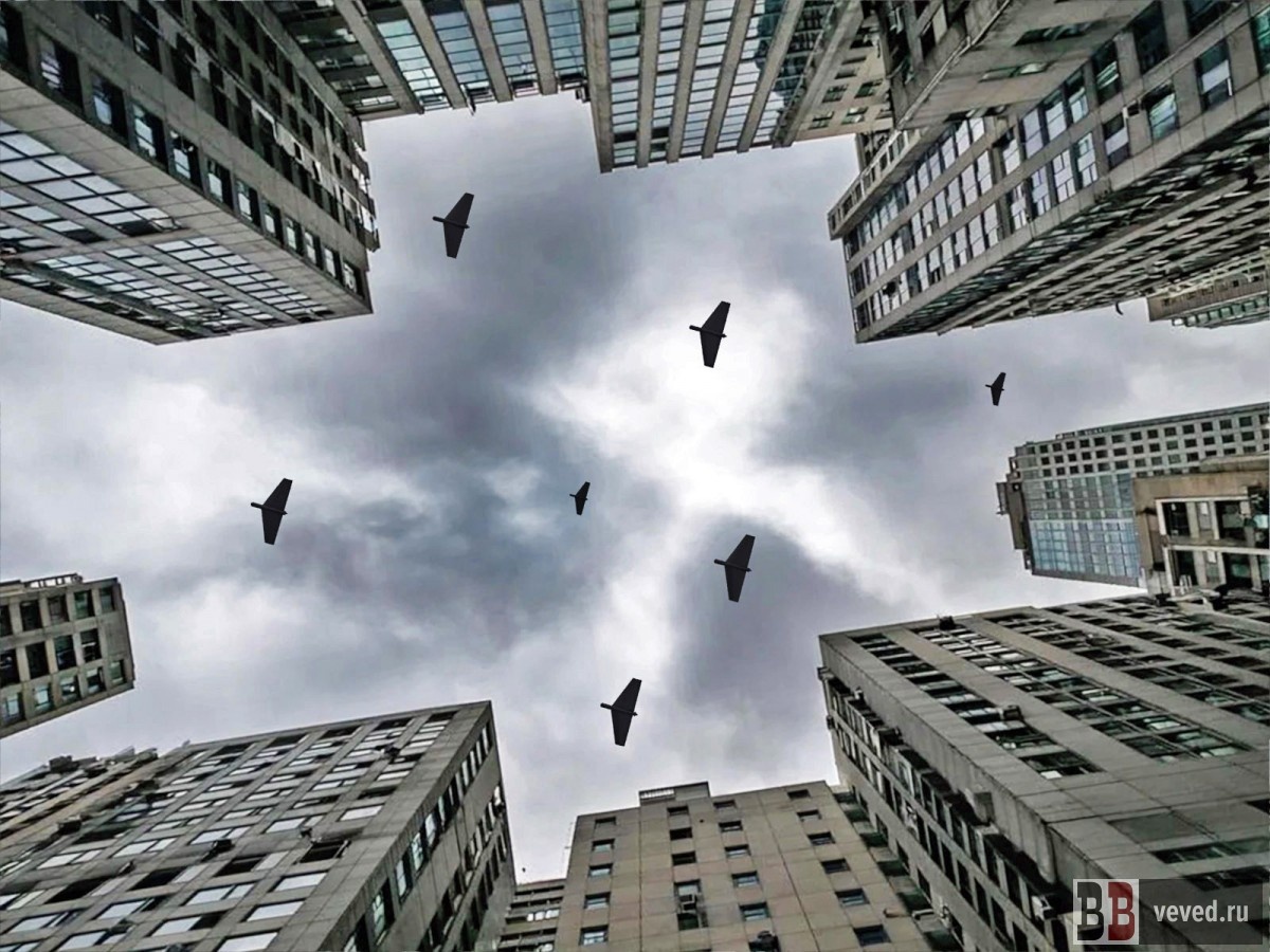     Иллюстрация: Андрей Гоголев / Вечерние ведомости