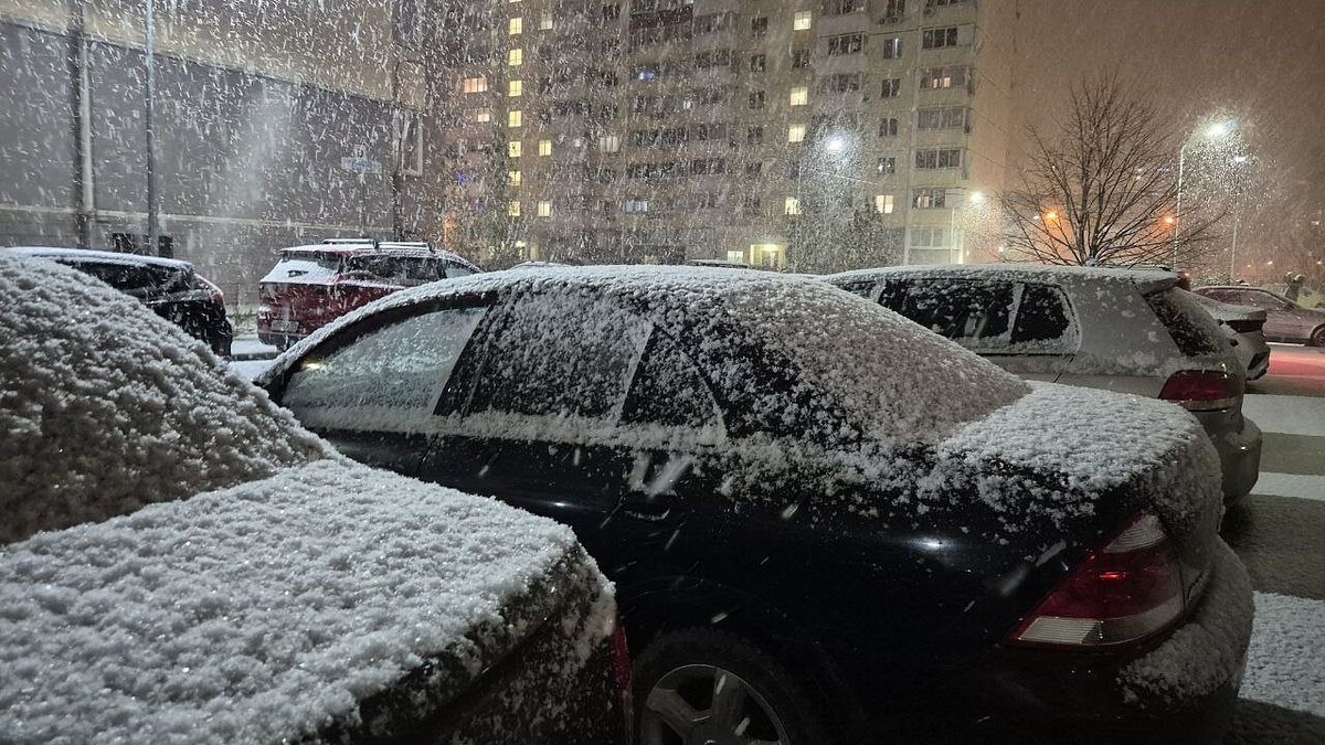    Фото: телеканал «Краснодар»