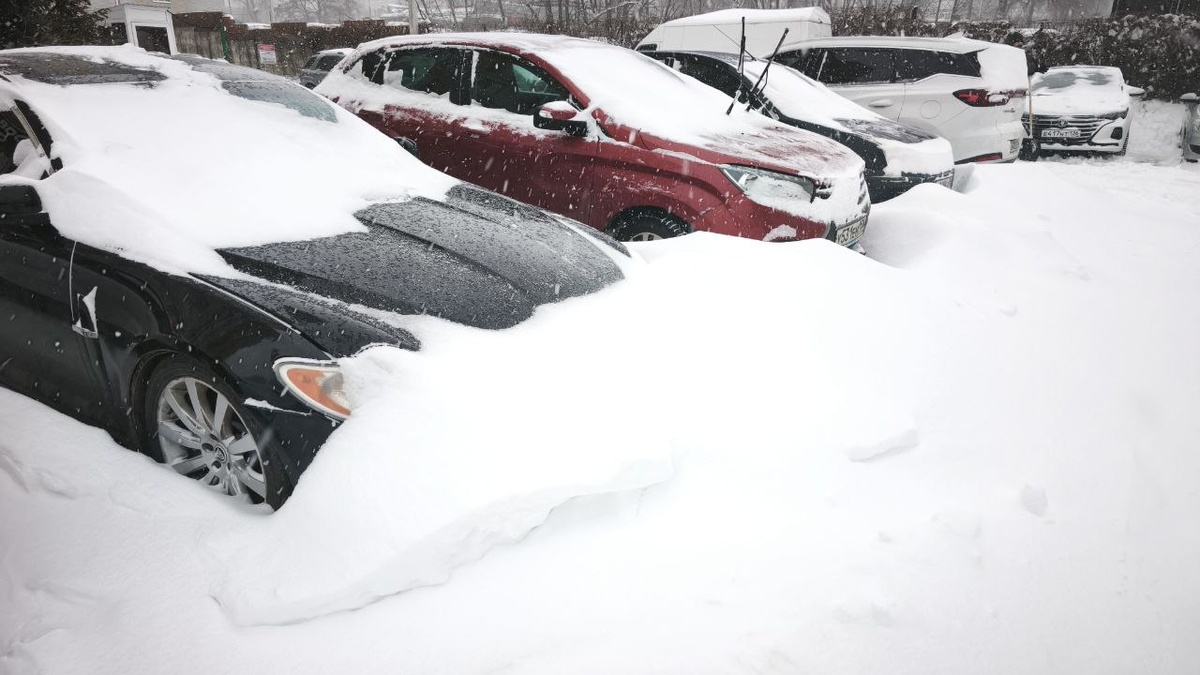     Виталий ГАРКУША