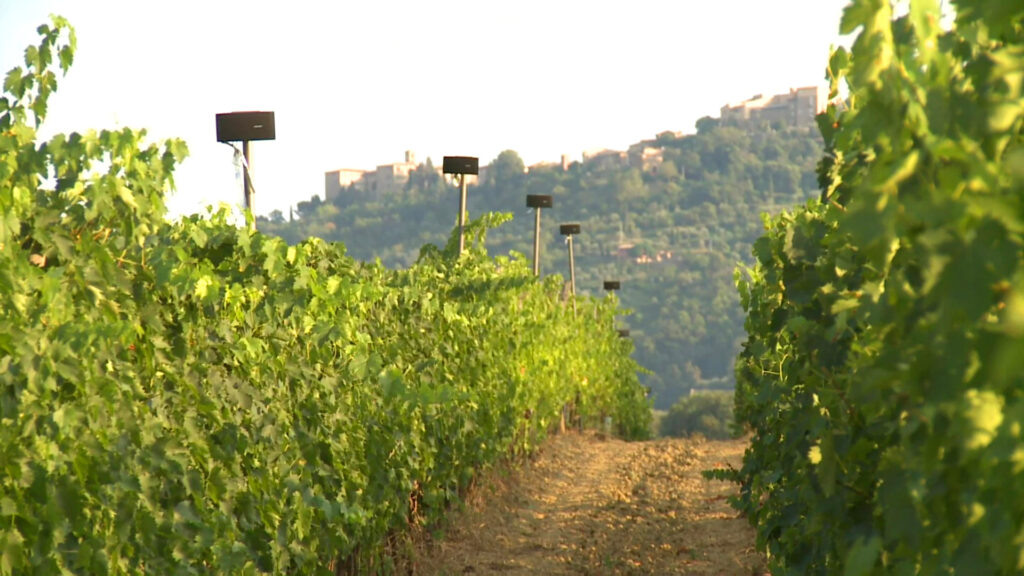 Источник: alparadisodifrassina.it