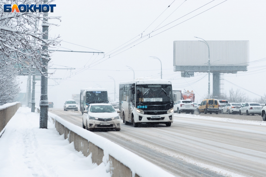 Фото: «Блокнот Краснодар"