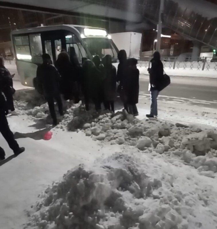    Фото: Скриншот из видео