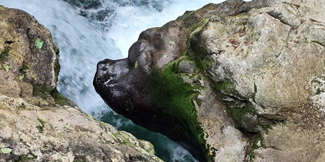 Где встретиться с природой: прогулка по ущелью Черниговка. Лесные тропы и каскады: очарование ущелья.