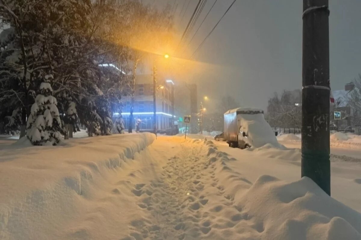    -33ºС и небольшой снег ожидаются в Пензенской области