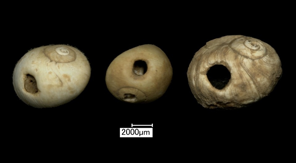   Keziah Warburton et al. / Proceedings of the Prehistoric Society, 2026