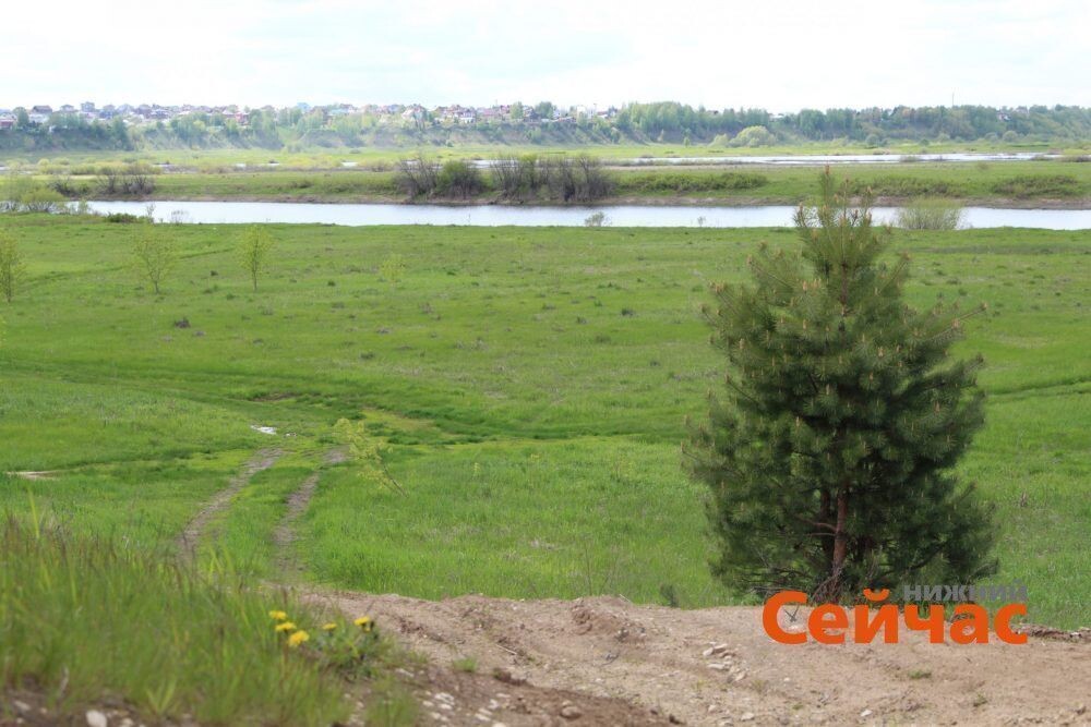    Фото: ИА "Нижний сейчас" Иван Воробьев