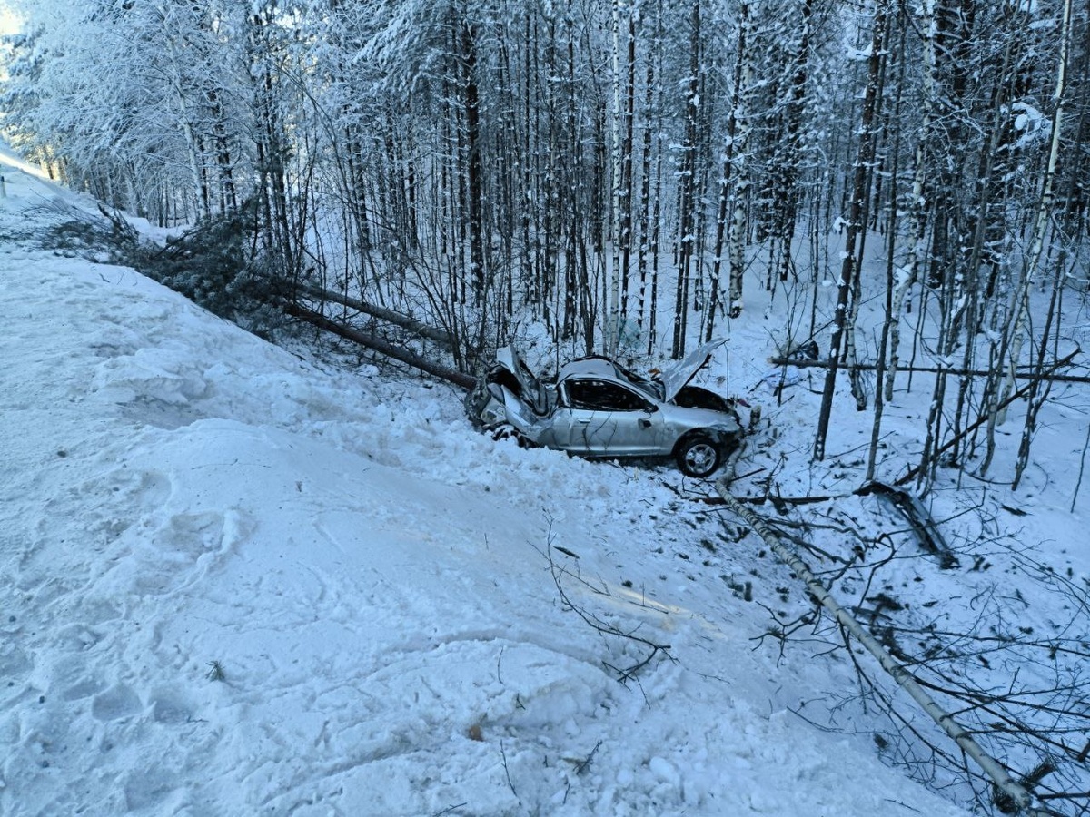    Госавтоинспекция Карелии