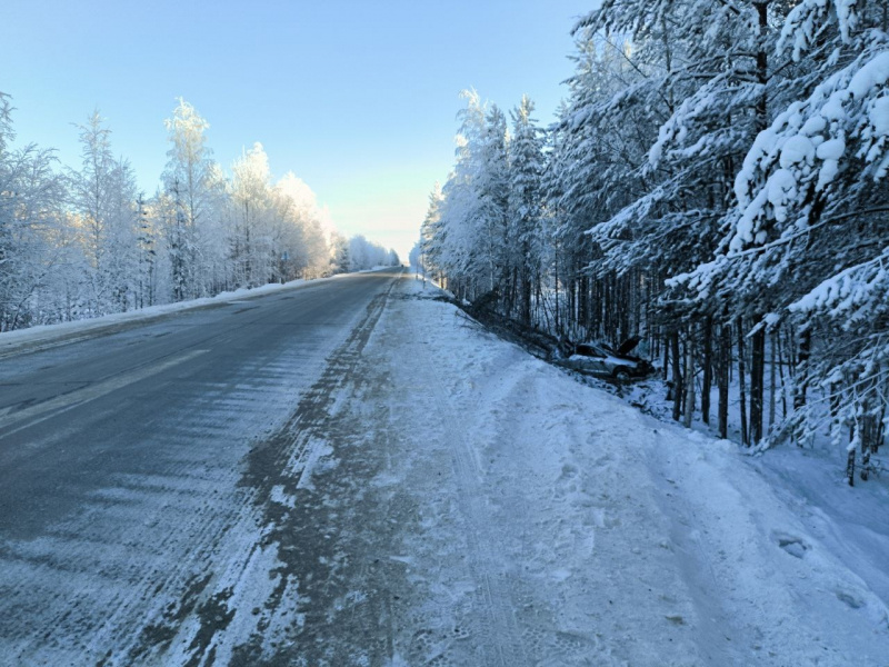    Подросток на машине отца ушел в кювет и снес деревья на севере КарелииГосавтоинспекция Карелии