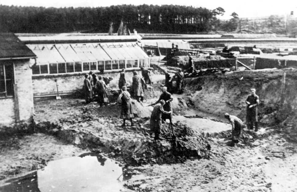 Фото из свободных источников.