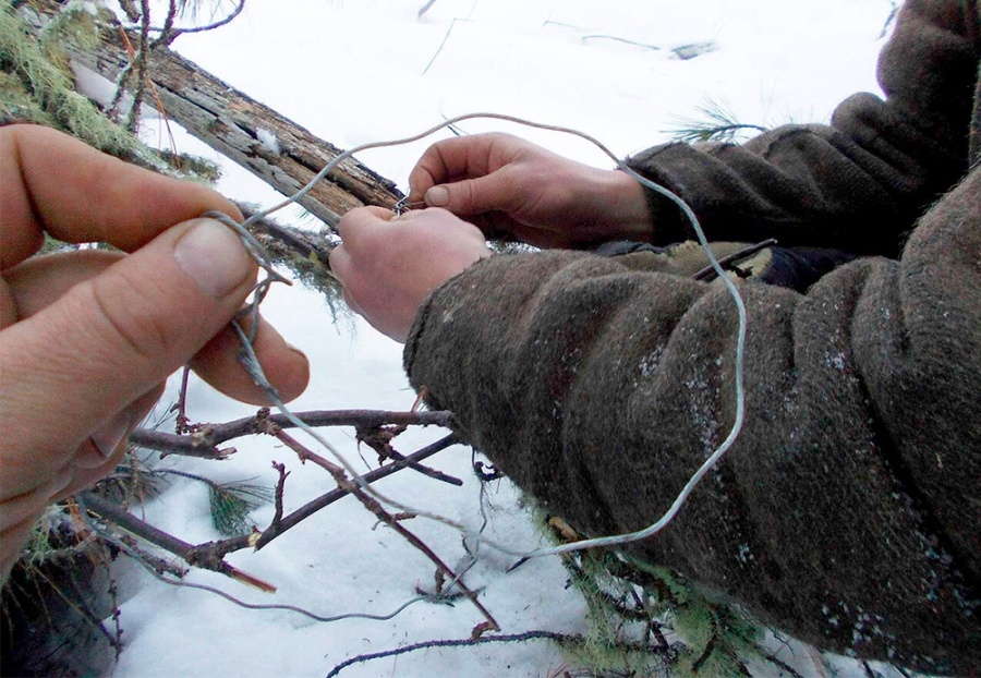    Петли беззакония – как инспекторы выслеживают браконьеров-"петельщиков"