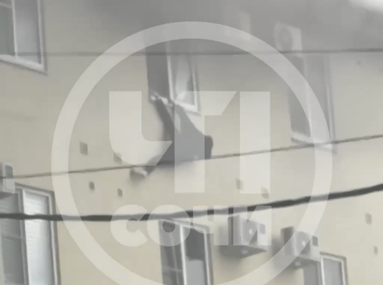 Фото: тг-канал «ЧП Сочи» (фрагмент видео)  📷
