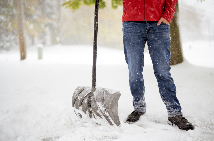     Фото: freepik.com