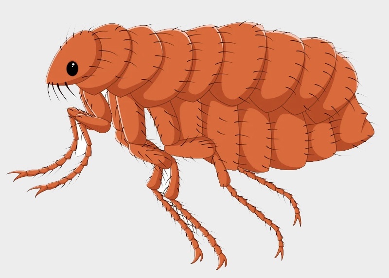 Источник: Яндекс