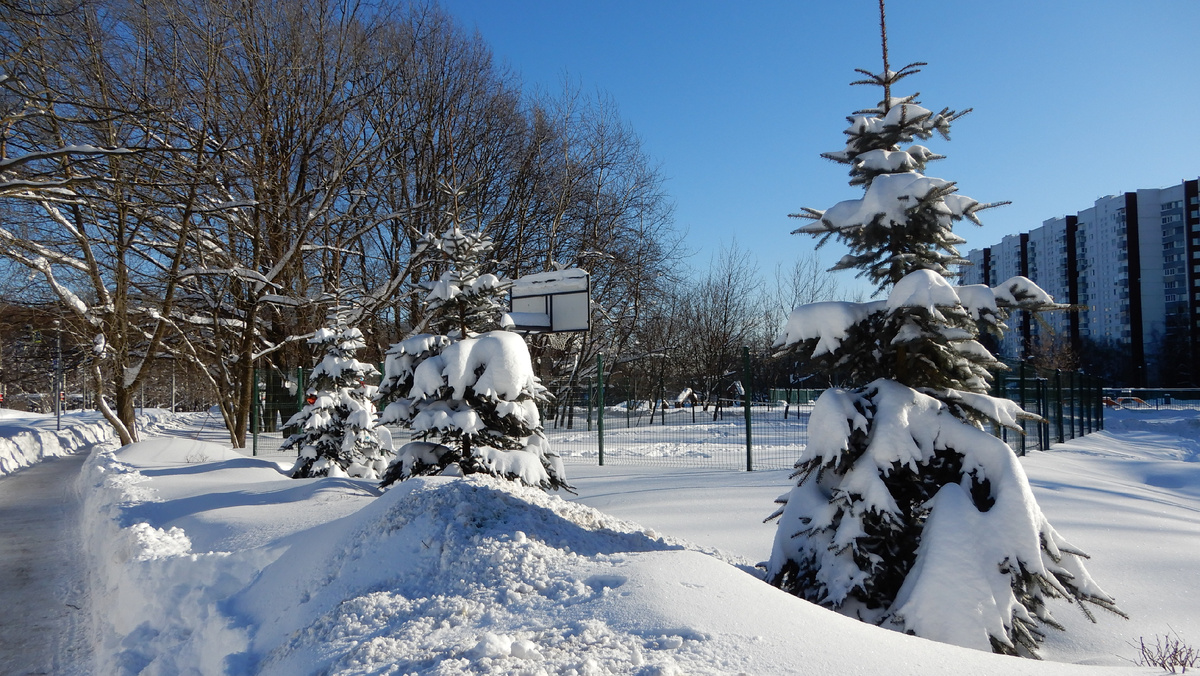 30 января 2026 г. Ясенево. Москва.