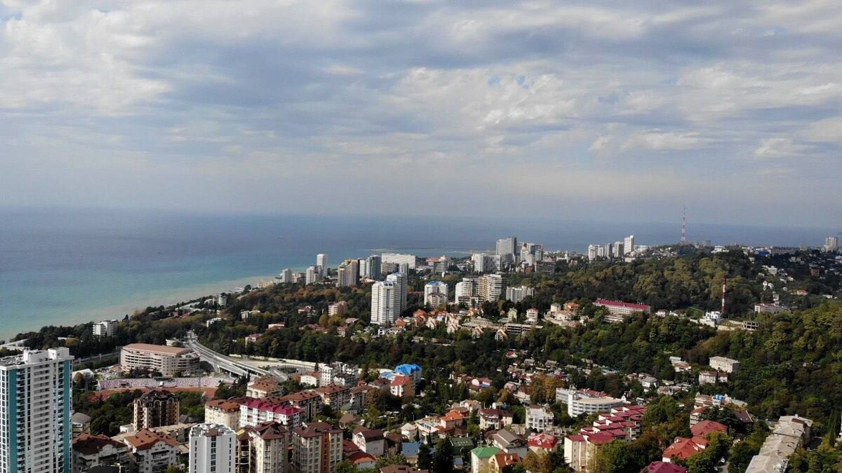 Фото: Telegram/Сочи Официальный  📷
