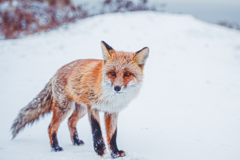     Тематическое фото. Фото: Мария Смитюк, ИА PrimaMedia