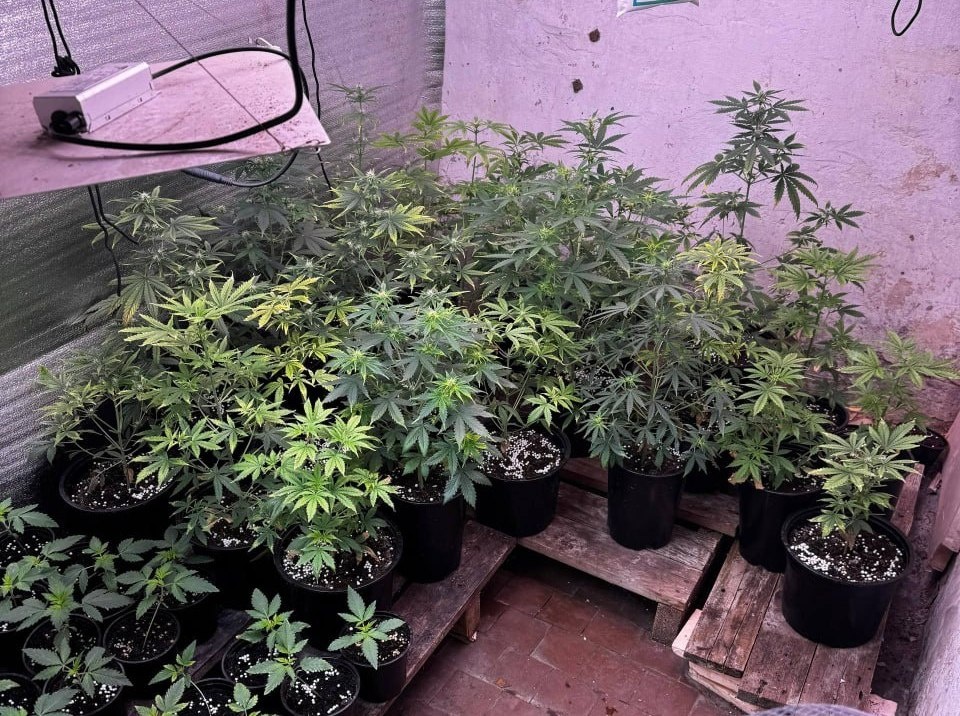    Фото: ГУ МВД России по РО. Газета "Земля"