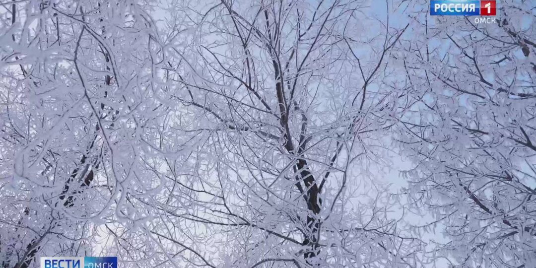 В Омской области спасли пропавшего в мороз мужчину