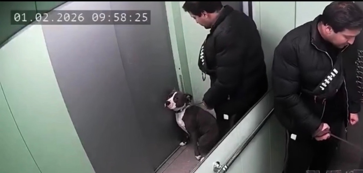 Фото: ЧП Краснодар / telegram