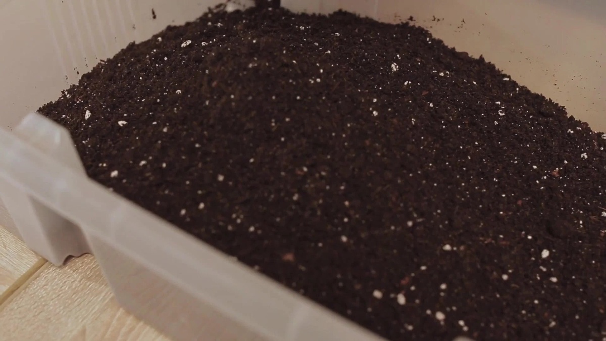 Грунт Универсальный