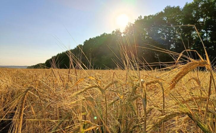    фото Курские известия