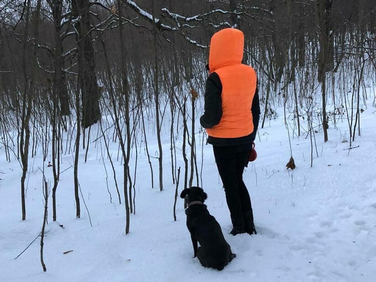    Поисковый отряд "ЛизаАлерт" Тульской области | © Поисковый отряд "ЛизаАлерт" Тульской области