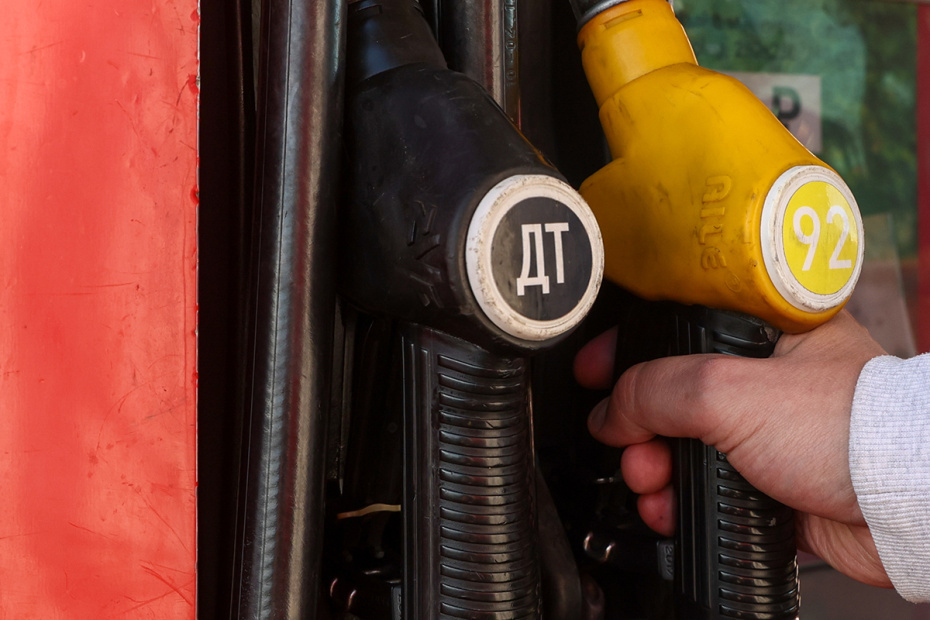    Наталья Шатохина/NEWS.ru