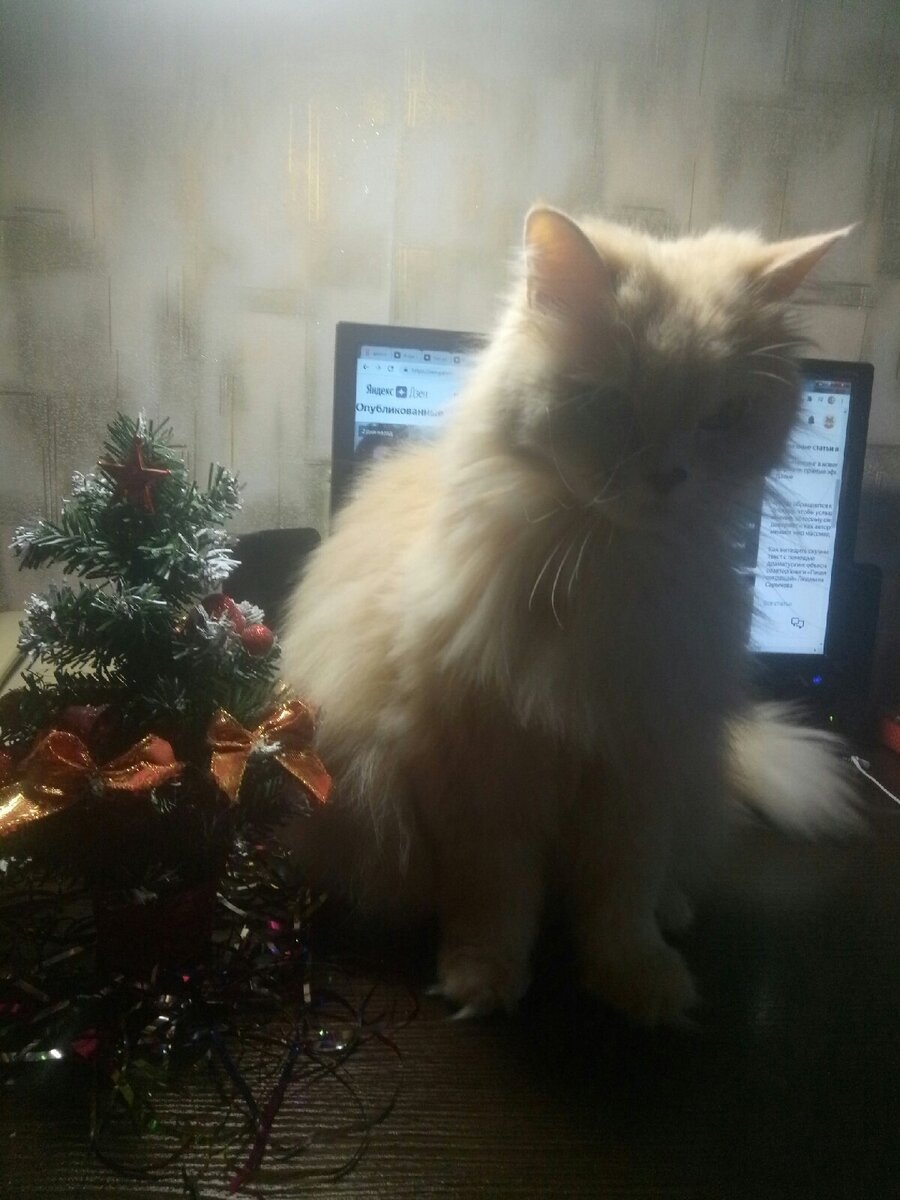 Фотография не с этого НГ, но елка и все остальное без изменений)