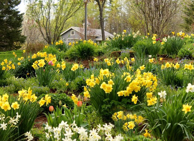 Примерно так. 