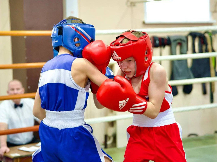     Открытым первенством в Биробиджане почтили память основателя школы бокса фото: пресс-служба департамента физкультуры и спорта ЕАО