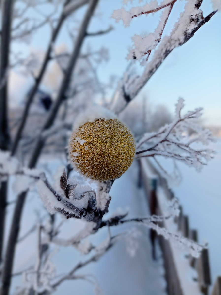 Изморозь покрыло всё 