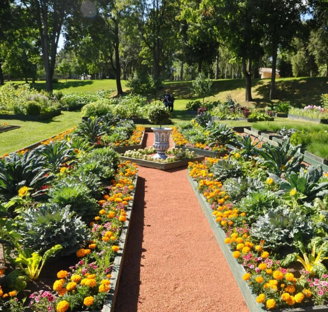 Голубая мечта дачника