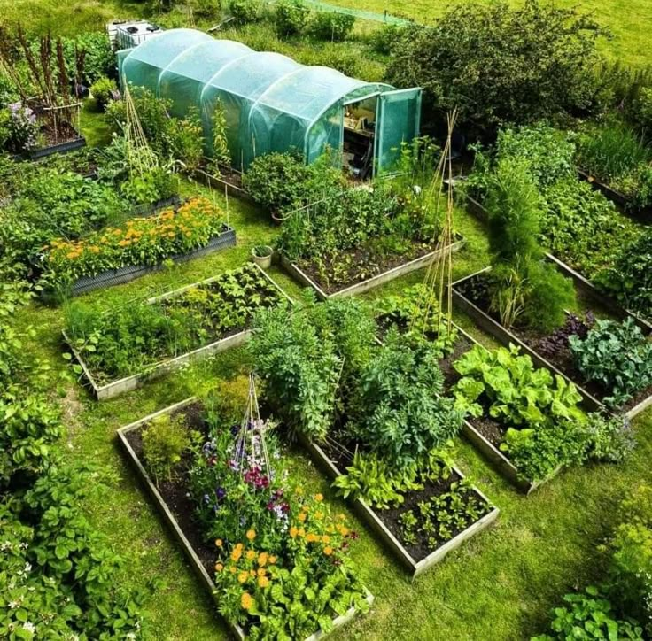 Черная явь дачника