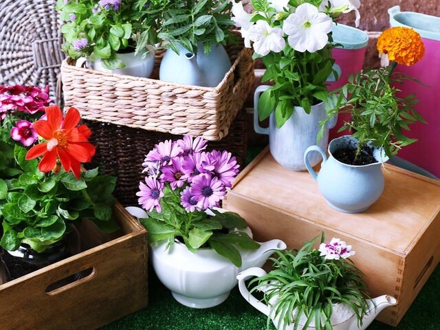    Фото: depositphotos/belchonock