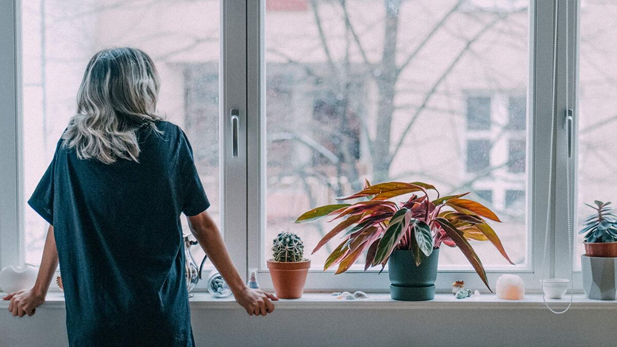 Фото: Getty Images/Counter