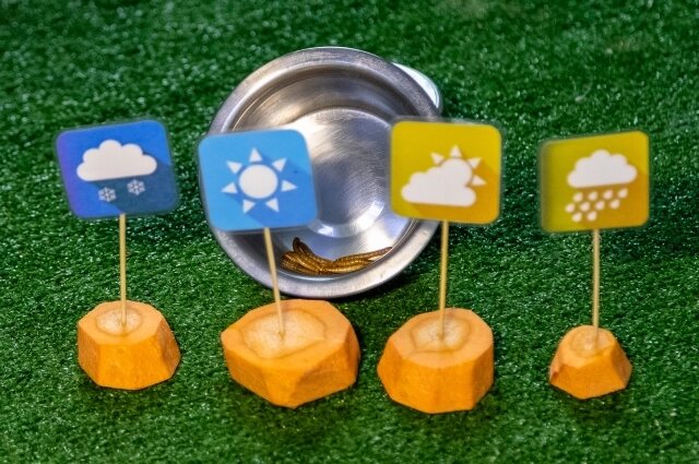    Фото: «АиФ-Урал»/ Иван Авдеев