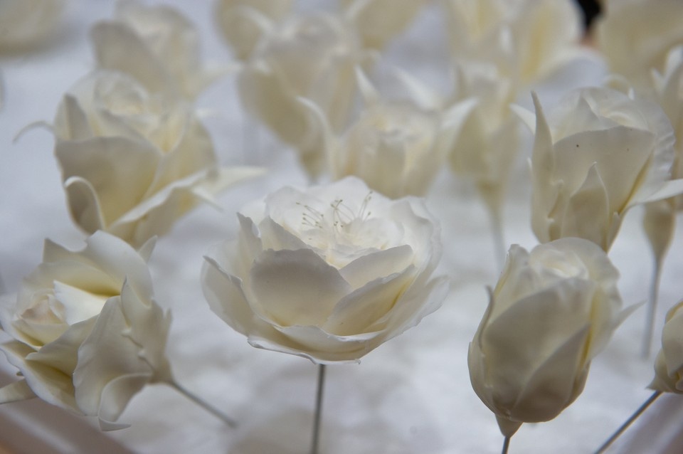    Во время эфира брат и сестры подарили зрителям и ведущему собственноручно изготовленные бумажные цветы. Юлия ПЫХАЛОВА