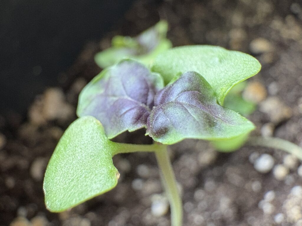    Фото: v-kurse.ru Ольга Гилёва