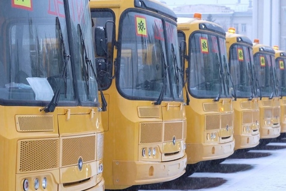    Парк школьного транспорта Херсонской области пополнился 60 новыми автобусами различной вместимости. Фото: ТГ-канал администрации Херсонской области