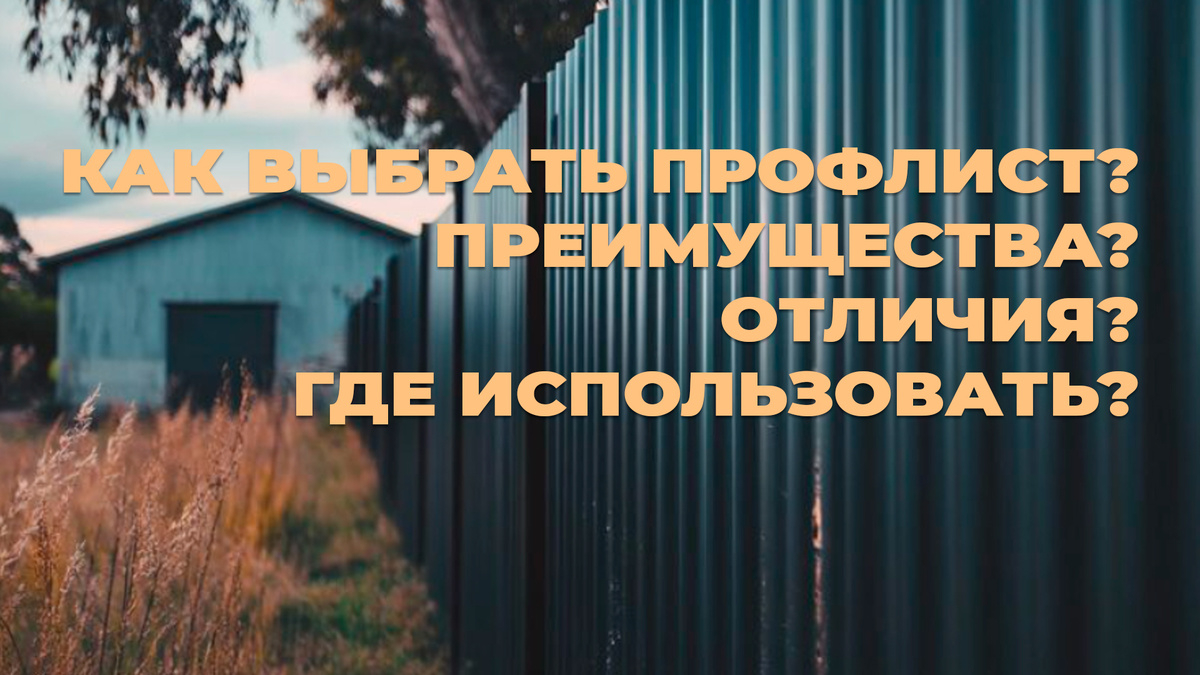 Все о профлистах в ТД Аврора