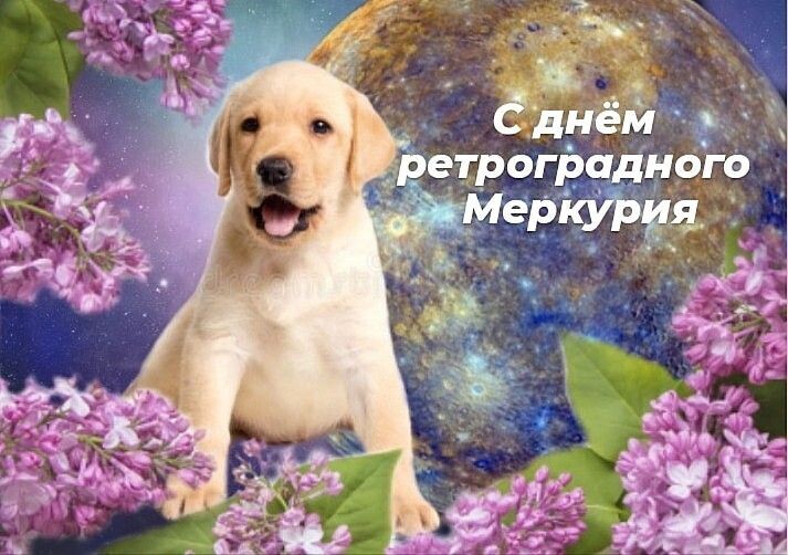 Меркурий в 5 доме