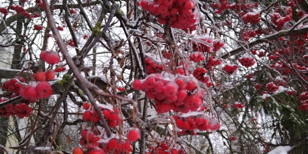 Особо хорошего ничего