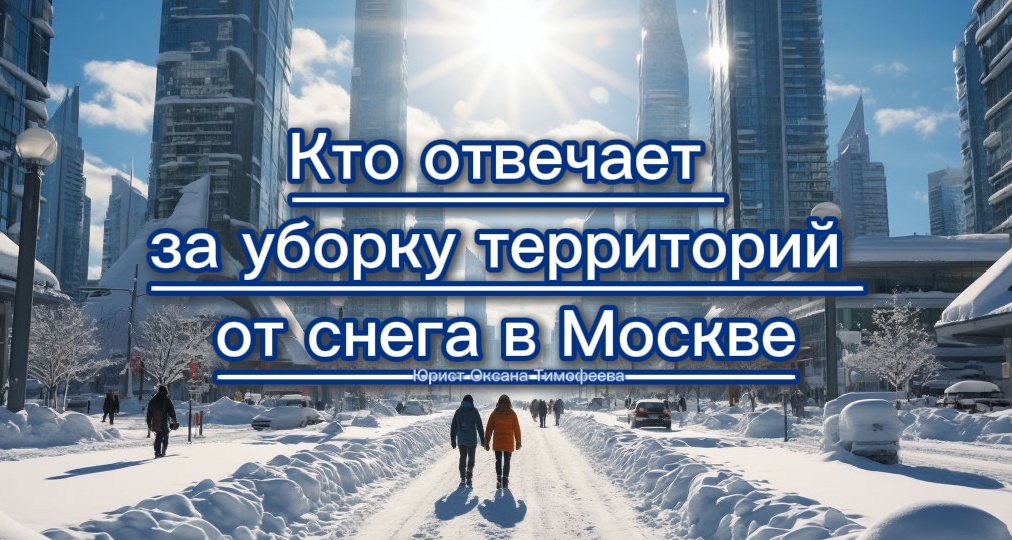 Кто отвечает за уборку территорий от снега в Москве.