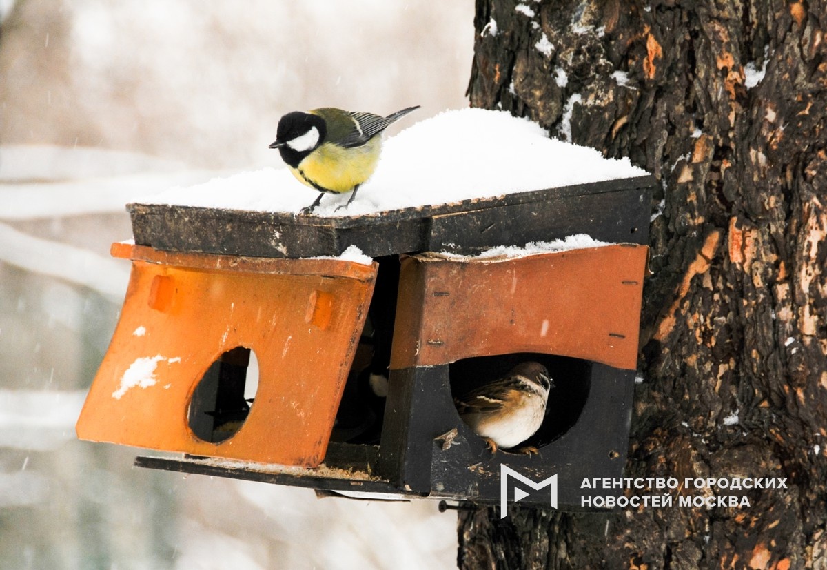 Фото: АГН "Москва"