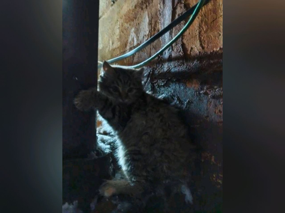     Фото: управление по делам ГО и ЧС