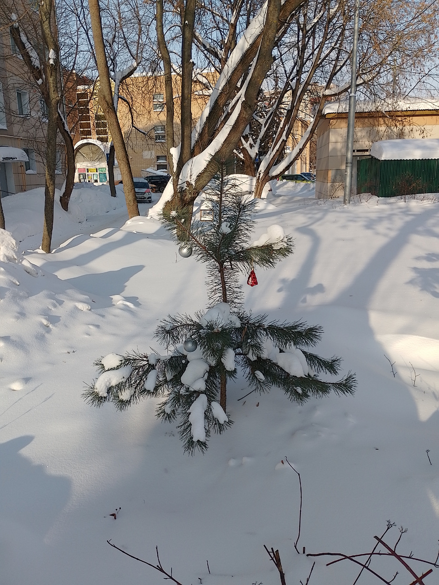 Фото автора.