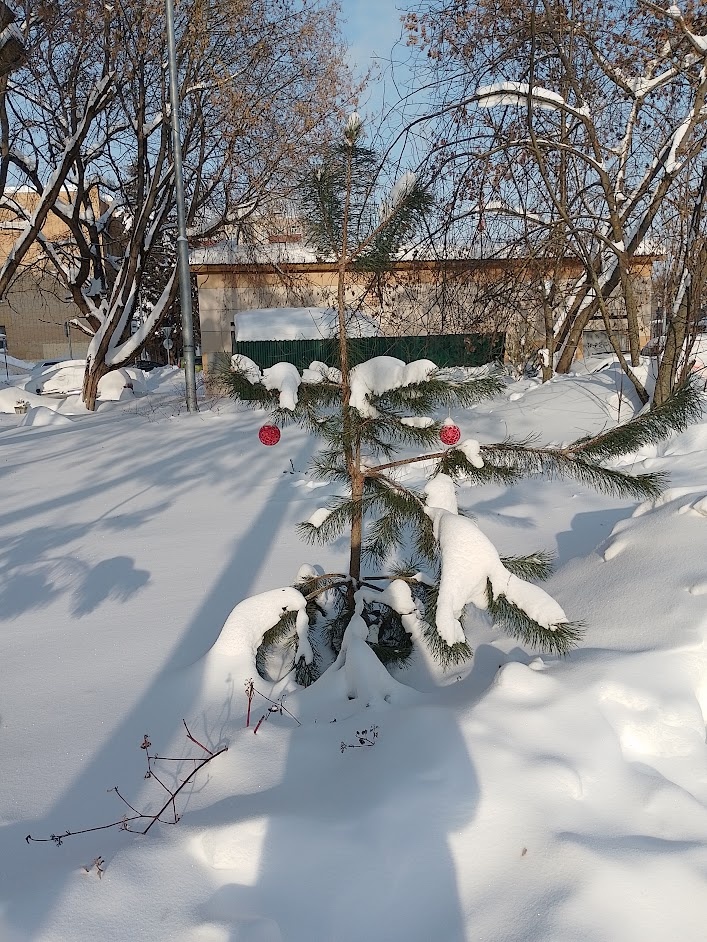 Фото автора.