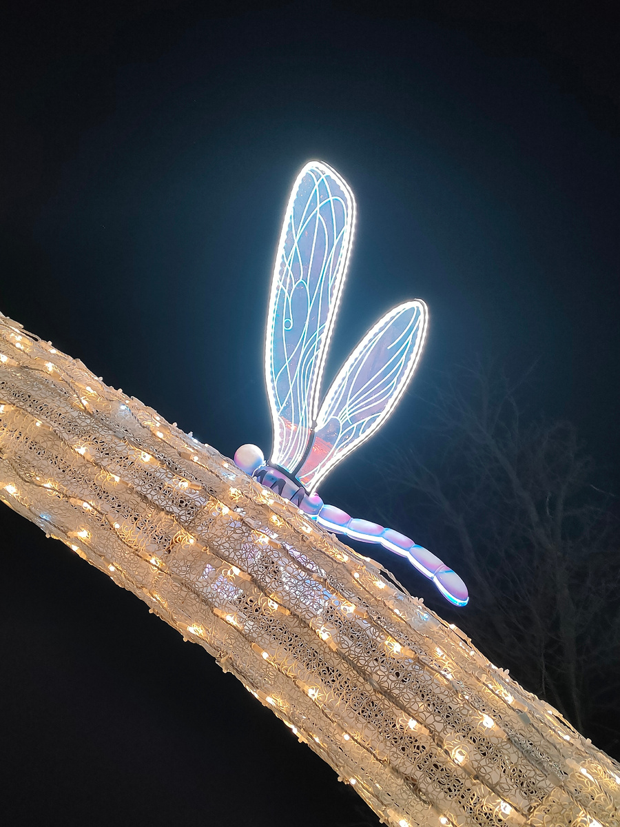 Фото автора.