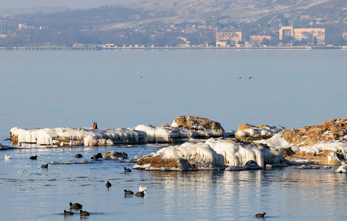 Максим Чурусов/ТАСС